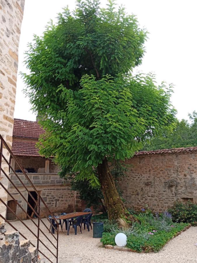 Bed and Breakfast Les Granges De L Abbaye Ginals Exterior foto