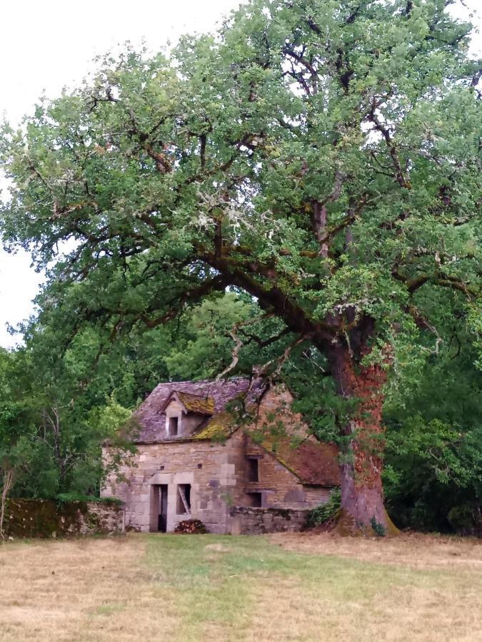 Bed and Breakfast Les Granges De L Abbaye Ginals Exterior foto